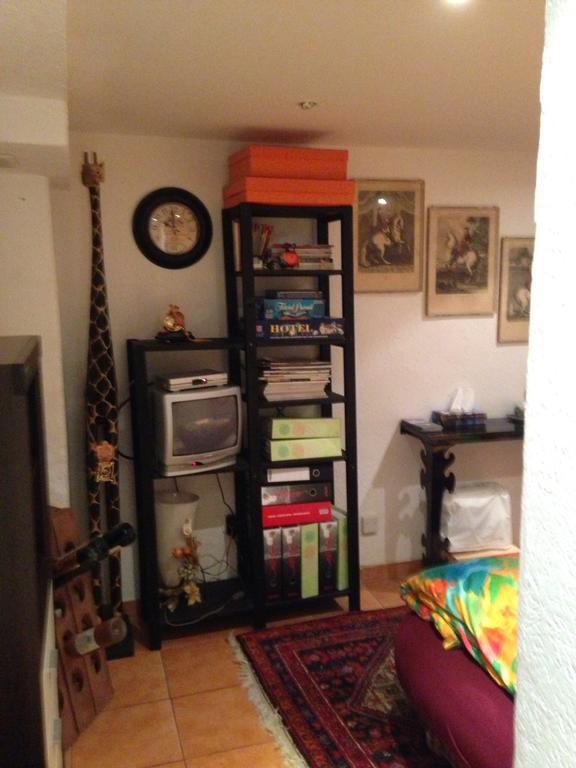Svetlana Apartment *